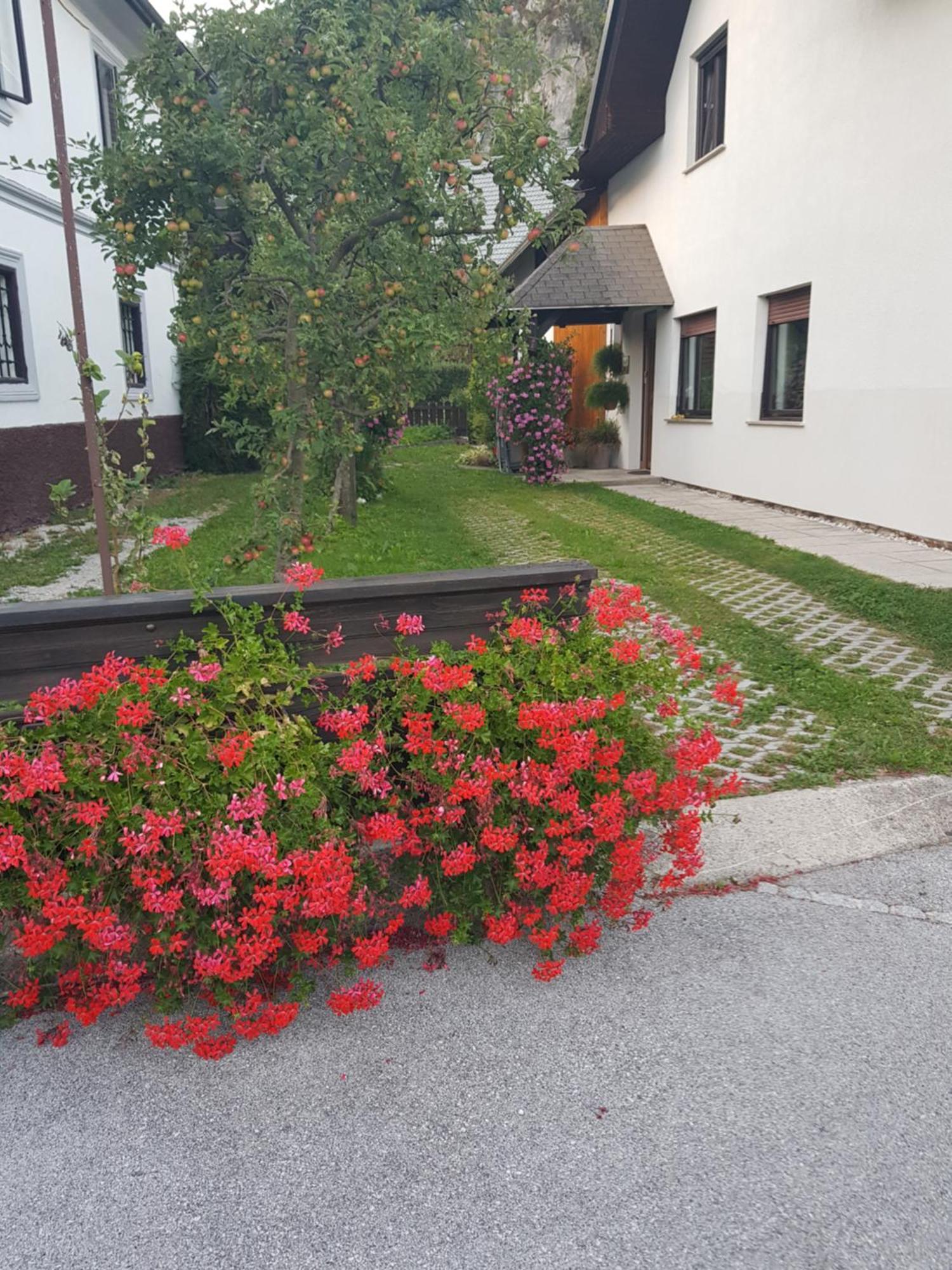 Apartments Gregorc Блед Экстерьер фото